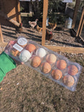 1 Dozen Chicken Eggs
